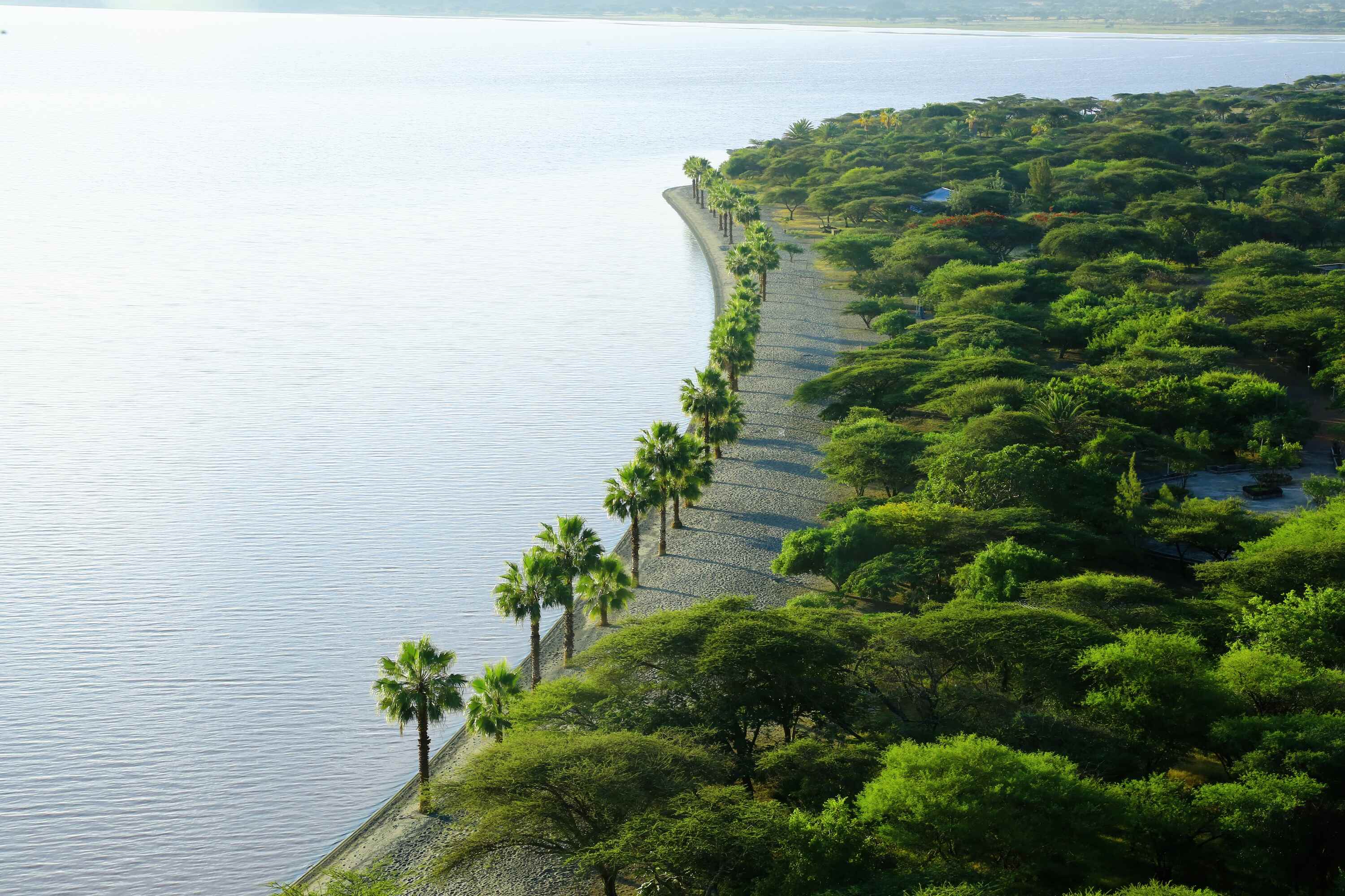 Environmental Responsibility